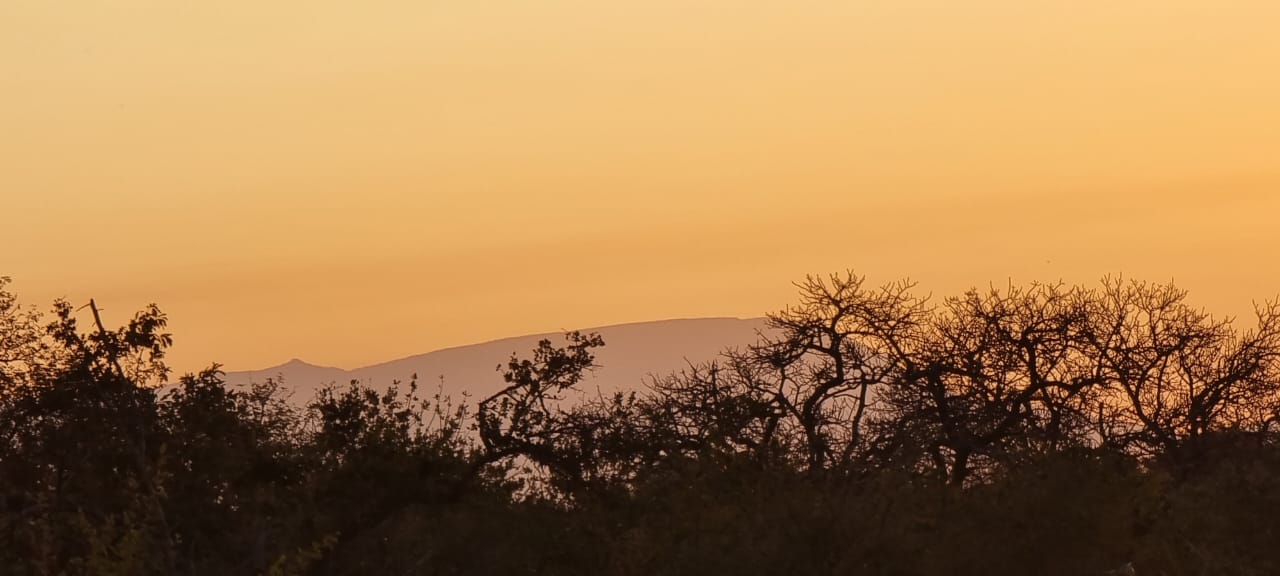 IMG-20220810-WA0003[1]